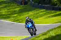 brands-hatch-photographs;brands-no-limits-trackday;cadwell-trackday-photographs;enduro-digital-images;event-digital-images;eventdigitalimages;no-limits-trackdays;peter-wileman-photography;racing-digital-images;trackday-digital-images;trackday-photos